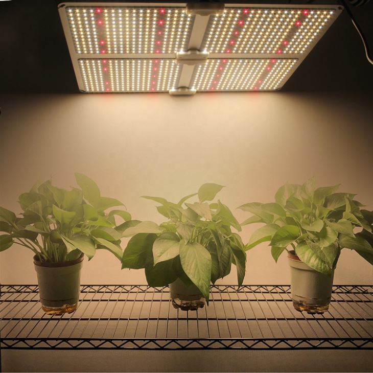 Full Spectrum LED Plant Light