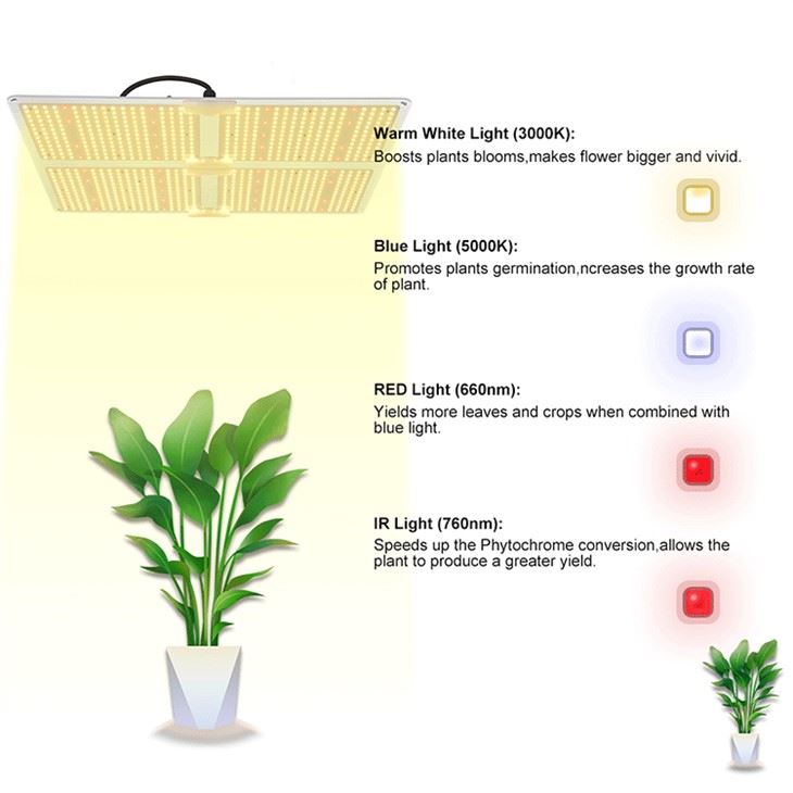 Lm301b Quantum Board Plant Growth Lamp