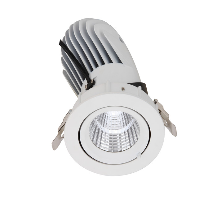 Adjustable Angle Recessed LED Ceiling Downlights