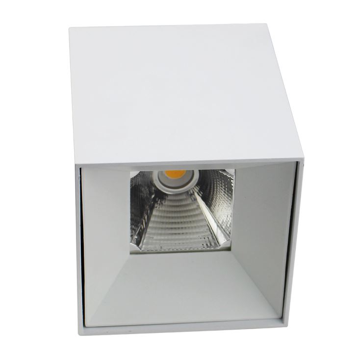 CE,RoHS,SAA,TUV Approval COB Chips Square Surface Mounted LED Downlight