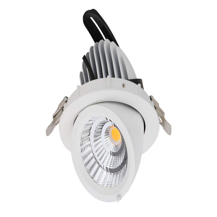 Adjustable Angle Recessed LED Ceiling Downlights