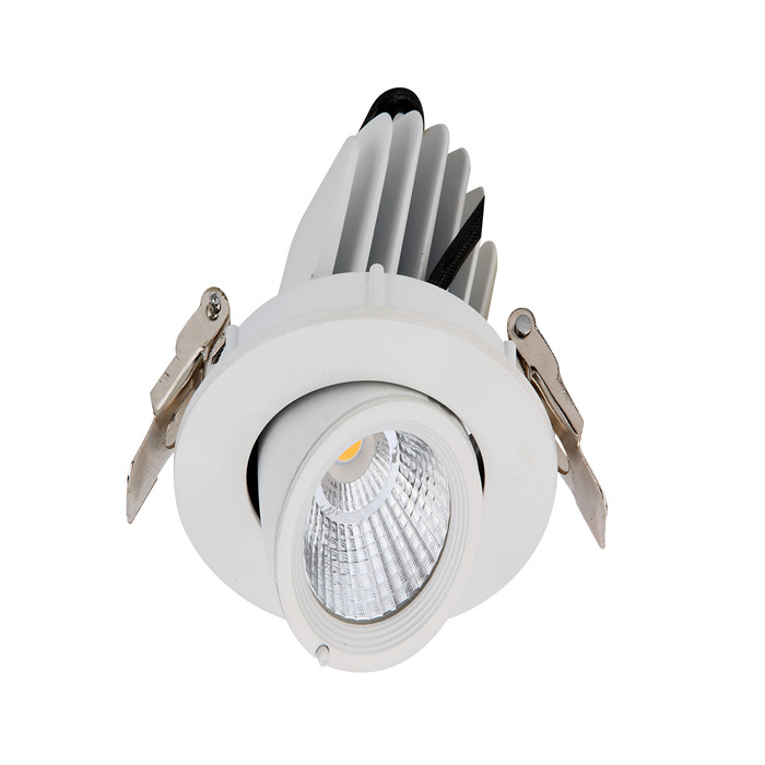 Adjustable Angle Recessed LED Ceiling Downlights