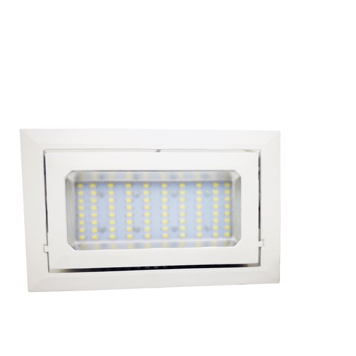 Unique LED Rectangular Rotatable Recessed Downlight For Shop Lighting