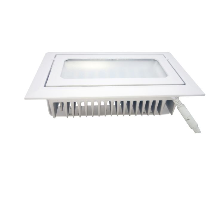 Unique LED Rectangular Rotatable Recessed Downlight For Shop Lighting