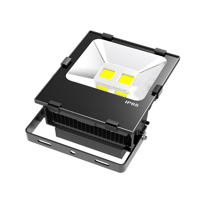 IP65 COB CE SAA Approved Internal Driver 50W LED Floodlight