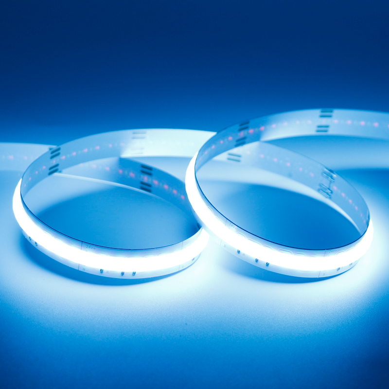 COB LED Strip RGB DC24V