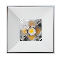 CE,RoHS,SAA,TUV Approval COB Chips Square Surface Mounted LED Downlight