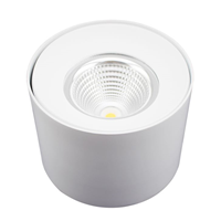 SMD led Chips Round Surface Mounted LED Downlight