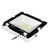 Good Heat Dissipation DOB Low Weight 100 Watt LED Flood Light