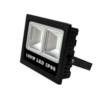 100w LED Flood Light 120LM/W