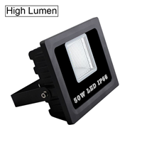 High Lumen Floodlight