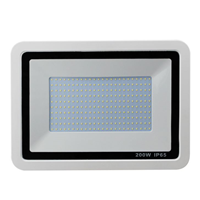 Factory Direct Supply LED Floodlight Driverless Floodlight IP65