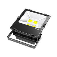 IP65 COB CE SAA Approved Internal Driver 50W LED Floodlight