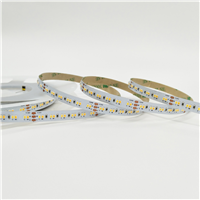 CCT LED Strip